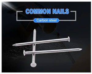 黄金优质厂家铁钉普通钉钉厂 - Product Image 3