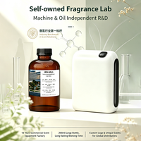 Huile aromatique boisée longue durée B2B, concentrée, de haute qualité, sans eau, pour hôtels et usage commercial
