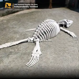 Benim DINO hayvan iskelet yaşam boyutu heykeli Dauphin akvaryum için