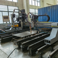 Machine de découpe plasma CNC à portique pour biseautage, servo, coupes multi-angles, haute précision, multi-tensions, garantie 1 an
