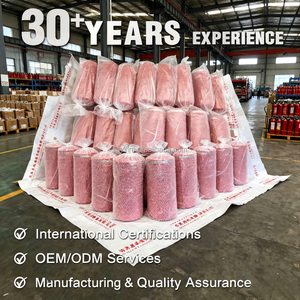 Estintore Portatile di Alta Qualità in Acciaio Inox SUS304 SS316L Certificato CE, Stile Italiano, Prezzo di Fabbrica, Vendita all'Ingrosso - Product Image 6