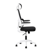 Chaise de bureau minimaliste pivotante avec vérin à gaz de classe 2, dossier haut, support lombaire, siège confortable en maille et roulettes
