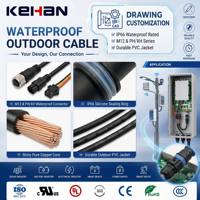 Conector M12 Impermeable IP66 de 2, 3 y 4 Pines con Cubierta de PVC para Cableado Exterior