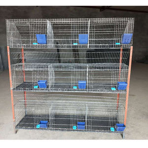 Kapalı metal broiler tavşan ve kafesleri tavşan oranı tepsi mat tiryakisi besleyici sistemi tam aksesuarları - Product Image 4