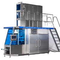 125ml 200ml 250ml 330ml 1000ml, ligne de production automatique de jus de lait aseptique, machine de remplissage de carton en brique