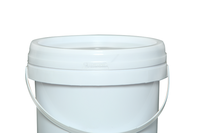 Usine Wholesale1L 3L 5L 10L 12L 15L 18L 20L 25L Seau en plastique pour l'emballage de seau en plastique