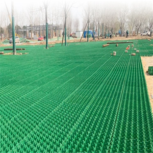 <span class=keywords><strong>Rejilla</strong></span> <span class=keywords><strong>para</strong></span> Césped de Estacionamiento, Acceso <span class=keywords><strong>para</strong></span> Camiones de Bomberos, Pasarela, <span class=keywords><strong>Patio</strong></span> de Juegos, Jardín en la Azotea, Pavimentación, Ladrillos <span class=keywords><strong>para</strong></span> Césped, <span class=keywords><strong>Patio</strong></span>, Camino, Tablero de Drenaje - Product Image 4