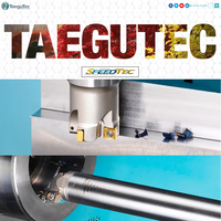 Inserto de Carburo para Ranurado TAEGUTEC TDT 1.85-0.10 TT9080, Insertos de Doble Extremo de Precisión para Ranurado Externo