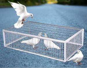 Jaula trampa para <span class=keywords><strong>palomas</strong></span> y pájaros <span class=keywords><strong>de</strong></span> Metal <span class=keywords><strong>de</strong></span> alta calidad con puerta <span class=keywords><strong>de</strong></span> alambre <span class=keywords><strong>de</strong></span> Metal, trampa para animales <span class=keywords><strong>de</strong></span> hierro - Product Image 2