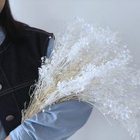 Bunga Gypsophila Kering Warna Cerah untuk Dekorasi Rumah, Natal, Wisuda, Abadi, Harga Pabrik, Keuntungan Harga