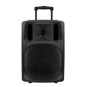 Rechargeable Trolley Speaker 15 Inch Plastic Cabinet Karaoke Big Dj Bass Speaker For Home Outdoor