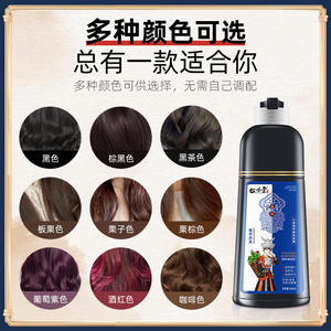Shampoo Colorante alle Erbe, Tintura per Capelli Facile e Veloce, Non Sbiadisce, Ingredienti Delicati Non Irritanti, Vendita all'Ingrosso 500ml - Product Image 5