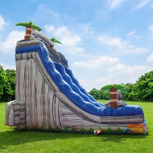 Scivolo d'Acqua Gonfiabile in PVC di Grado Commerciale a Forma di Palma Tropicale con Piscina, Facile da Montare, per Feste Estive in Piscina e <span class=keywords><strong>Noleggio</strong></span> - Product Image 5