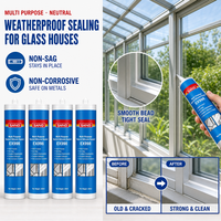Scellant silicone neutre SANVO EX998, excellente adhérence, résistant aux intempéries, pour façades et vitrages, étiquette privée OEM, 300 ml
