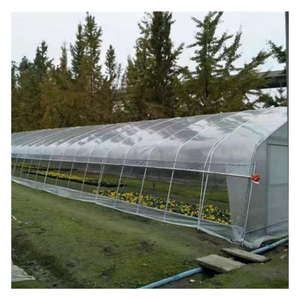 Kit de serre agricole à simple travée avec film plastique PE et structure en acier galvanisé à chaud pour usage domestique, jardin et cour arrière - Product Image 1