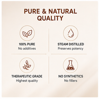 Huile essentielle d'anis étoilé biologique, pure et naturelle, soulage les ballonnements et favorise la digestion ; Convient à une utilisation en médecine et en alimentation.