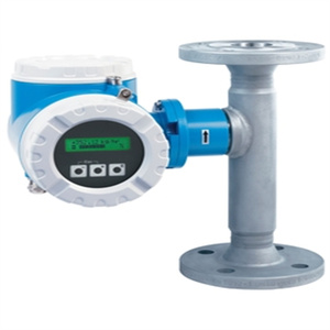 เครื่องวัดอัตราการไหลแบบเทอร์มอลเมาส์โฟลว์มิเตอร์ Endress+Hauser รุ่น 65F25-AE2AG1AAABBA - Product Image 5