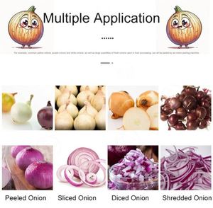 Core Components Moteur et PLC-Fry Oignons secs Machine de collecte Plant Washer Oignons Peeling Line - Product Image 3