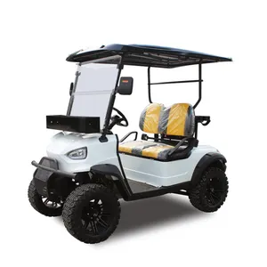 China Factory Direct Small Cheap Two Seater Electric Golf Cart Best Selling Two Seater China Golf Carts
