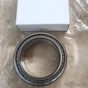 Rodamiento de rodillos cilíndricos de doble hilera SL014924A, rodamiento SL014924 NNU4924 NN4924, tamaño 120x165x45mm con complemento completo - Product Image 1