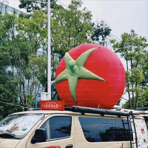 Modelo <span class=keywords><strong>de</strong></span> <span class=keywords><strong>Tomate</strong></span> Inflable Gigante con Iluminación LED, Color <span class=keywords><strong>Rojo</strong></span>, Vegetal Inflable para Decoración/Promoción en Festivales <span class=keywords><strong>de</strong></span> Comida - Product Image 5