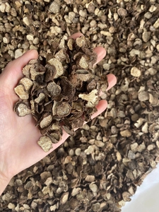 Tartufo Nero Naturale Essiccato di Nuova Raccolta per Alimenti e Tè a Prezzo all'Ingrosso - Product Image 3
