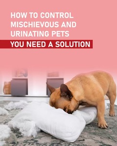 Semprotan manajemen perilaku hewan peliharaan, semprotan pelatihan kucing anjing perilaku buruk bahan alami aman untuk semprotan korektor anjing peliharaan - Product Image 5