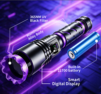 Lampe torche UV industrielle portable 20W à LED rechargeable USB-C au lithium 365nm, étanche IP66 en alliage d'aluminium pour le camping