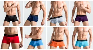 Approvisionnement direct d'usine classique hommes sous-vêtements en coton bas prix en gros de haute qualité hommes slips LOGO personnalisé boxer shorts