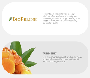 Oem/odm כורכום לכלבים 120 טבליות לעיסה-ירך ומפרק תמיכה אנטי דלקתי לכלבים עם כורכום וביופריין - Product Image 3