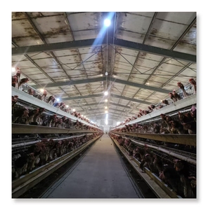 3000 Birds <strong>Poultry</strong> Farm Design Battery Egg Chicken Layer <strong>Cage</strong> <strong>Poultry</strong> <strong>Cage</strong> <strong>Sale</strong> for <strong>Ghana</strong> Farm at Factory Price - Product Image 5