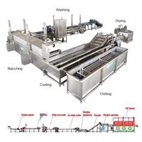 Industriële Bevroren Groentemix Verwerkingslijn Biologische Groente Snijden Wassen Blancheren Drogen Blast Vriezer Machine