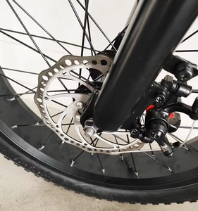 Precio barato bicicleta de largo alcance eléctrica de montaña E bicicleta de gran potencia 1000W 48V 20 pulgadas 15ah ruedas gruesas bicicletas eléctricas para adultos - Product Image 5