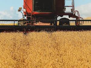 Máquina cosechadora de granja GN60 de alta capacidad con <span class=keywords><strong>plataforma</strong></span> de corte de conexión rápida para campos de trigo en Ucrania - Product Image 4