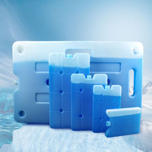 Groothandel Draagbare Meervoudige Maat Hdpe Herbruikbare Harde Plastic Vriesgel Ijsdoos Blokkoeler Verpakking - Product Image 1