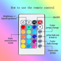 Tira de Luces LED Inteligente RGB 5050 de 5V Regulable para Fondo de TV Luz Ambiental con Control Remoto de 24 Botones Alimentada por Baterías
