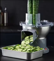 Melktheewinkel Kantines Automatische Snijmachine/Groente- en Fruit Snijder Aardappel Wortel Snijder en Shredder