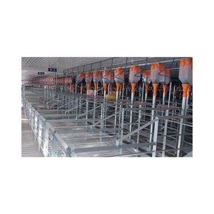 Caisse de mise bas pour porcs Haute qualité 2400X1800Mm Élevage de porcs Équipement d'élevage de porcs Couleur personnalisée Fabriqué au Vietnam Fabricant - Product Image 5