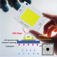 Puce LED COB 200W 100W 50W 30W 20W 10W Modules LED Lampe Carrée Haute Puissance Puce COB pour Projecteur DIY Lumière Inondante