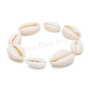 En gros DIY <span class=keywords><strong>Fabrication</strong></span> de Bijoux Blanc <span class=keywords><strong>Trompette</strong></span> Shell Perles Taille Différente pour Choix 20 PC/Sac 1358363 - Product Image 5