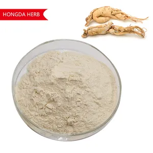 Kräuter extrakt Pulver Gingseng Extrakt Ginseng Peptid Pulver Ginseng Peptid