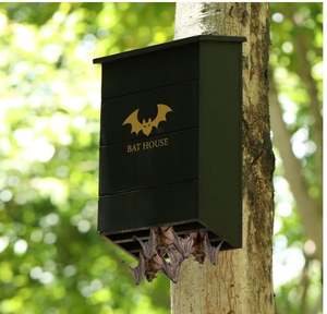 Özel ahşap yarasa evi açık havada büyük üç odası kutusu odası yarasa ev kiti kara ve köklü siyah yarasalar için kolay - Product Image 4