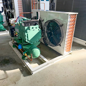 Unité de condensation à compresseur refroidi par air avec <span class=keywords><strong>moteur</strong></span> à économie d'énergie pour chambres froides et congélateurs - Product Image 4