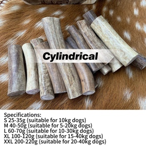 <strong>Dog</strong> Teething <strong>Stick</strong> Toy With Natural Antlers and Chewable Bones - Product Image 5