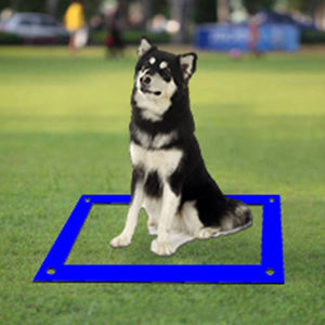 Güvenli aşınmaya dayanıklı eğlenceli kolay kurulum Pet eğitim ekipmanları köpek engel eğitim dişli Pet oyun ve köpek koşu eğitim için - Product Image 2