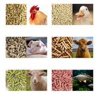 Machine à fabriquer des granulés d'aliments pour animaux à petite échelle, équipement électrique pour la production de granulés d'aliments pour volailles, poulets, canards, moutons, bovins
