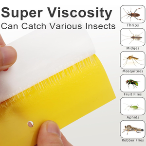 High - Tack Vegetable <span class=keywords><strong>Patch</strong></span> Insekten fallen: Halten Sie Ihren Gemüsegarten mit Leichtigkeit schädlings frei - Product Image 6
