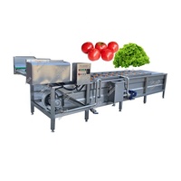Automatische Weken Type Groente Bubbel Wasmachine Tomaat Wasmachine