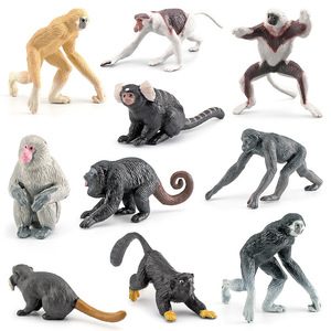 Modelli di animali <span class=keywords><strong>primate</strong></span> per simulazioni di esportazione transfrontaliera Xinhen: mini scimmie nasose, gibboni, orangutan e grandi lemuri - Product Image 1