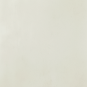 แผ่นผนังติดตั้งง่าย ตัดได้ตามต้องการ ติดตั้งเหนือผนังเดิม ตกแต่งผนัง - Product Image 1